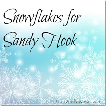 Sandy Hook, Snowflakes, Holidays, Christmas, Winter