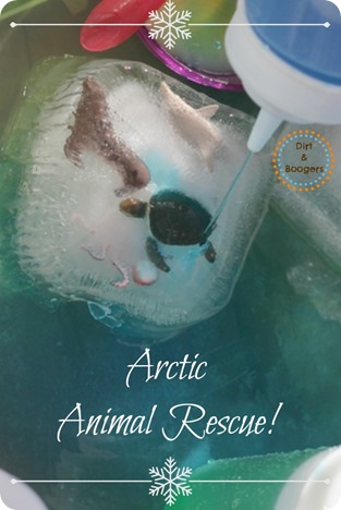 Arctic Animal Rescue - A great water activity for all kids!