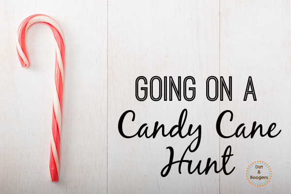 A fun Christmas activity that the whole family will enjoy! Let's go on a Candy Cane Hunt!