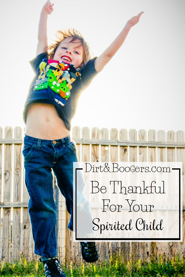 This parenting gig is hard, especially when you have a strong willed child. One of the best parenting tips I've ever heard is to learn to be grateful for the child you have. I adore this perspective.