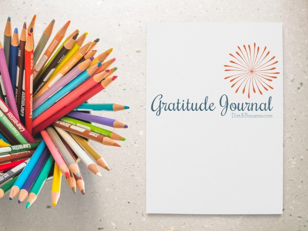 Gratitude Journal with Pencils